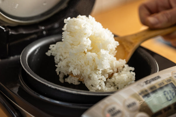 Newsletter 2: How to Make Rice
