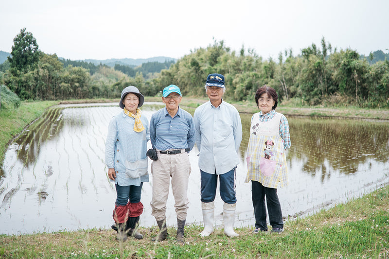 Four people standing by a rice field with trees in the background