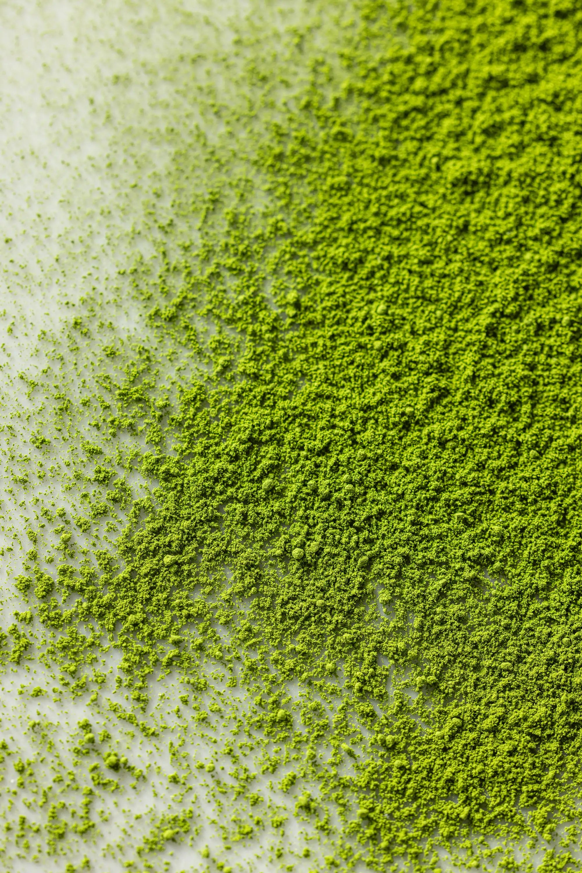 A close-up of Kobataen Koto matcha powder spread across a white surface, showing its vibrant green color and fine, soft texture with denser powder on the right and lighter dusting on the left.