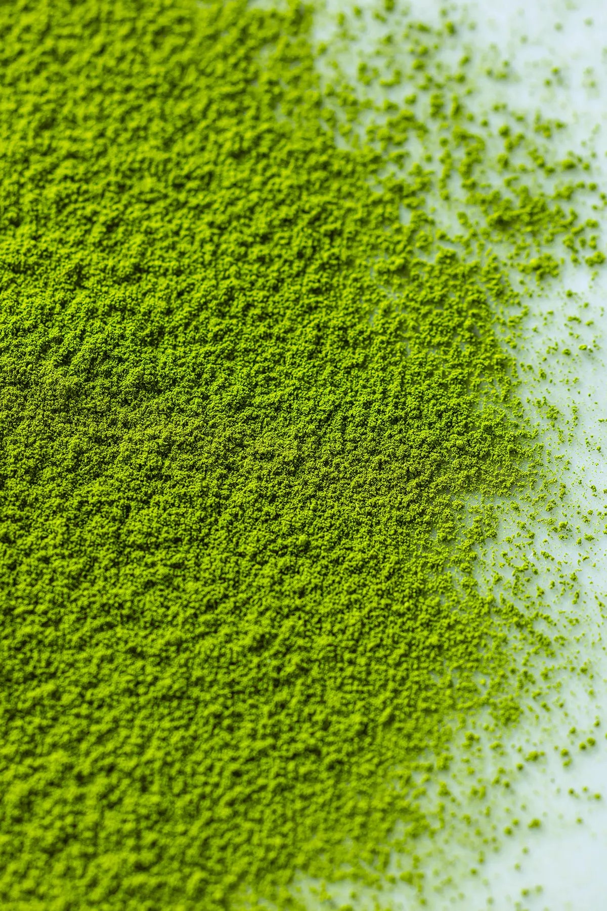 Close-up of Honyama matcha powder on a white surface