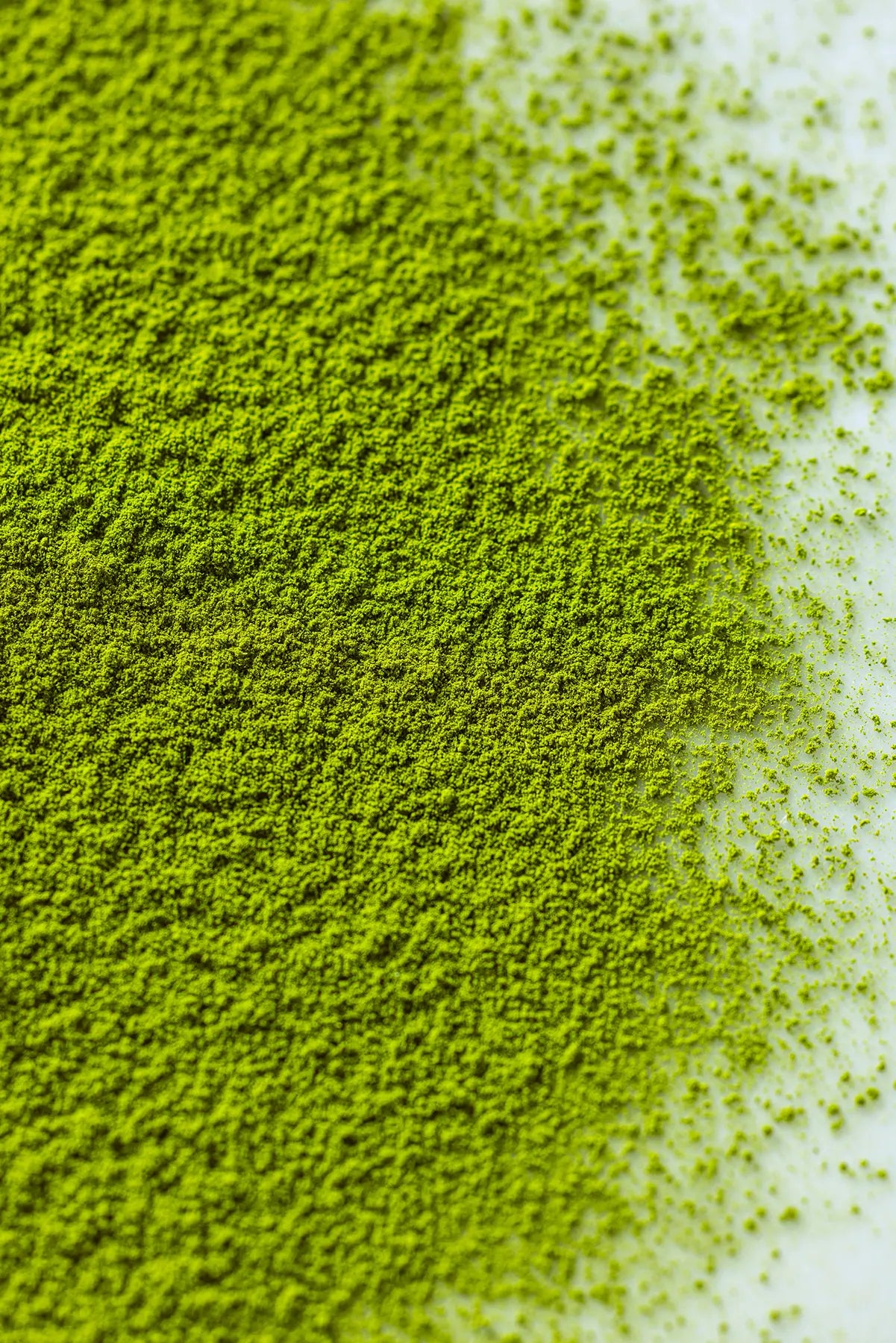 Close-up of Honyama matcha powder on a white surface