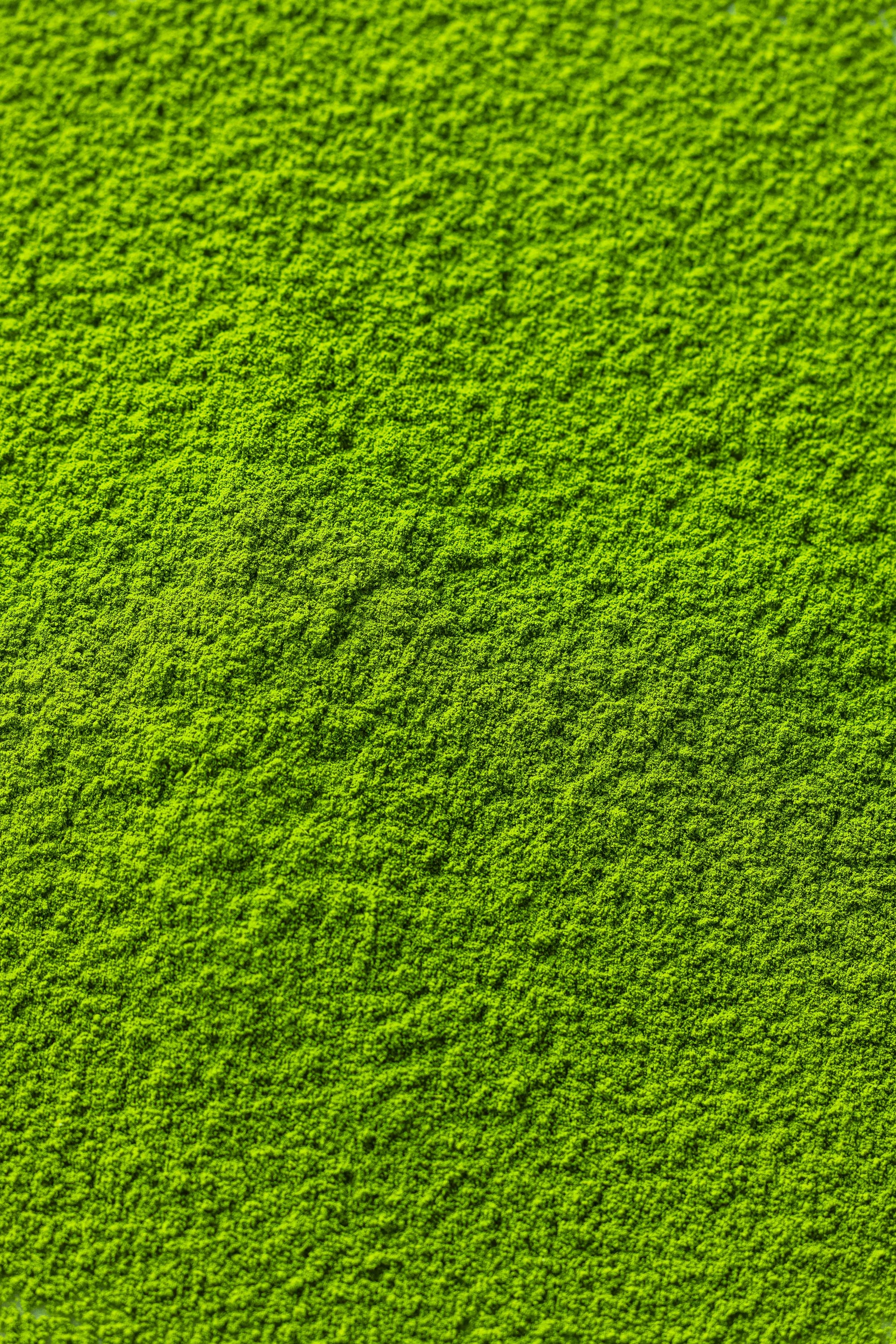Honyama Matcha