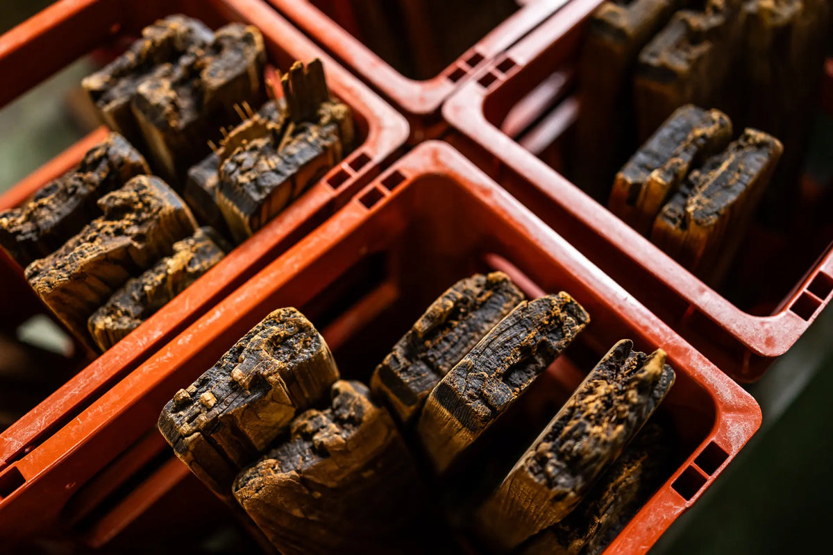 Close-up of dark, textured rectangular wood inside red plastic crates.