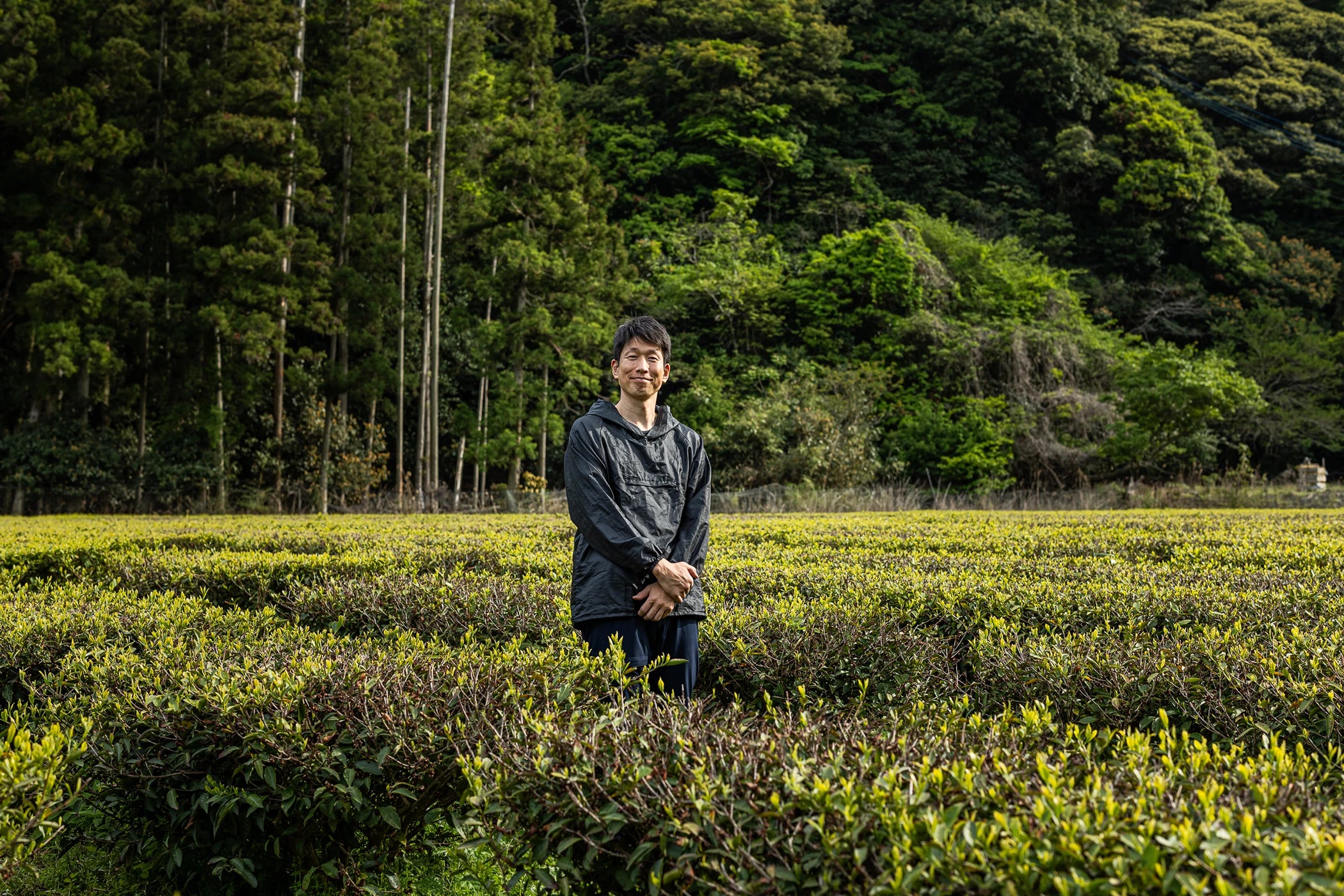 Oishi-san standing in a tea field with a forest in the background