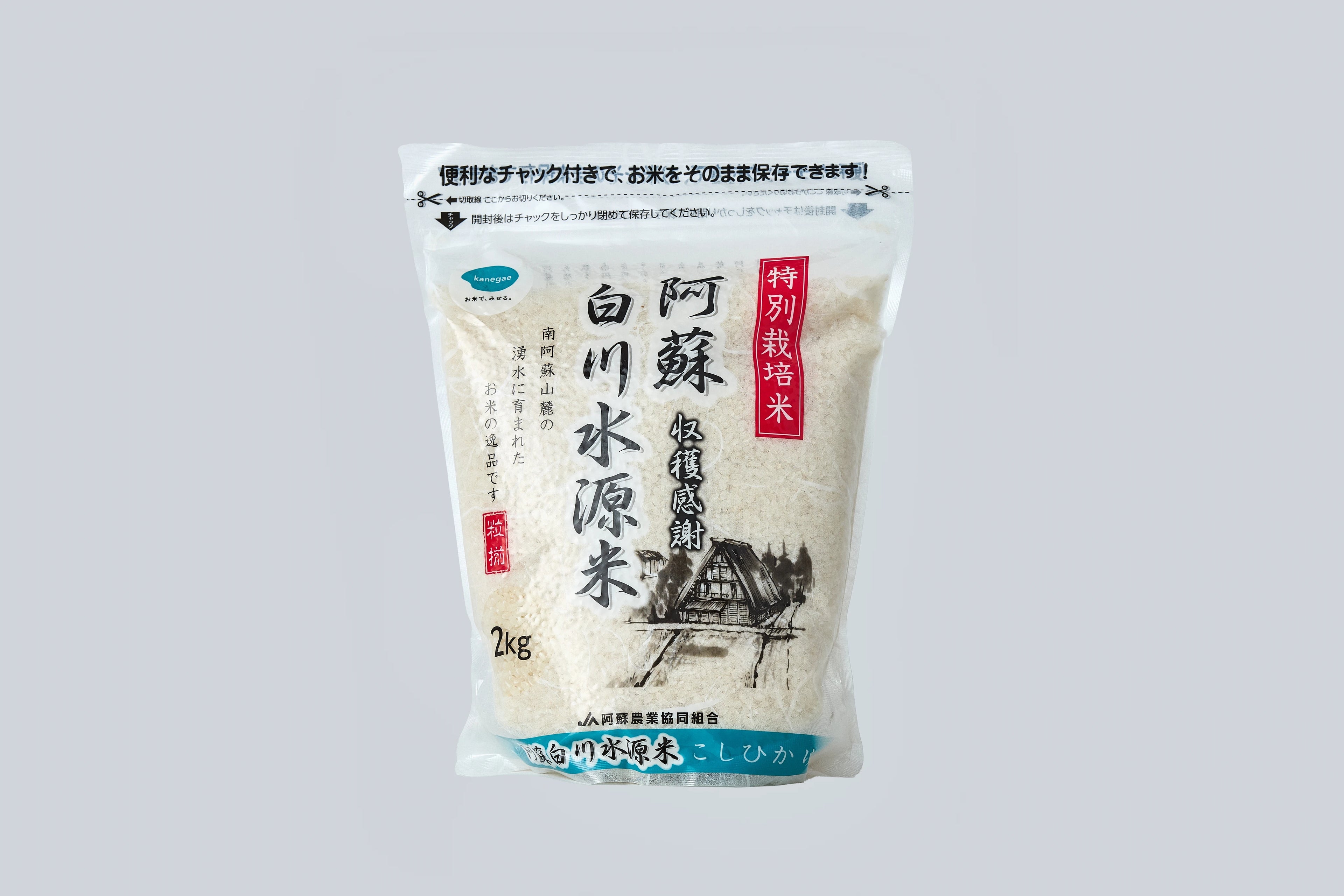 Transparent bag of Kanegae Aso Shirakawa rice on light gray background with Japanese characters on front