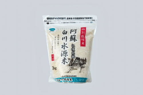 Transparent bag of Kanegae Aso Shirakawa rice on light gray background with Japanese characters on front